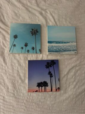 California Beachy Coastal Palm Canvas Wall Art Set